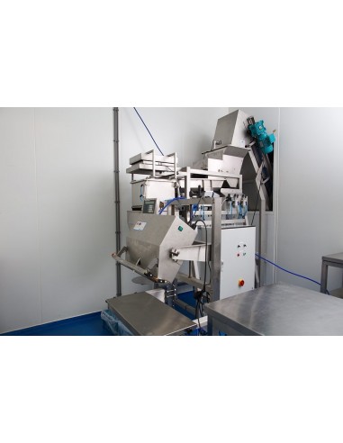 Embutxacat de patates fregides